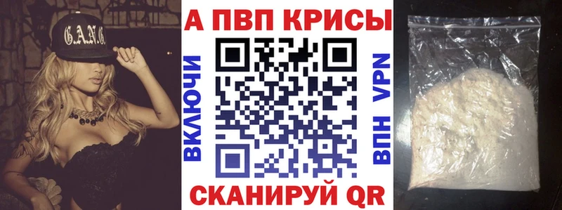 Купить где  Каргополь  APVP СК 
