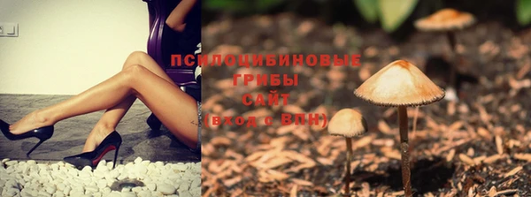 МДПВ Лиски