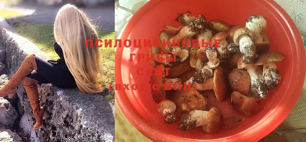 МДПВ Лиски