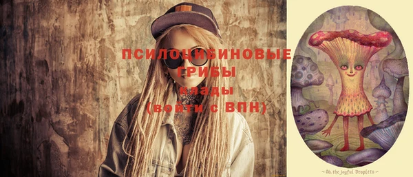 spice Лихославль