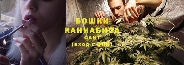 винт Липки