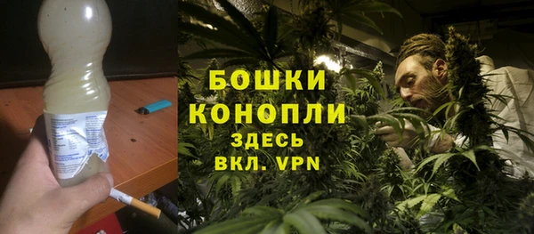 МДПВ Лиски