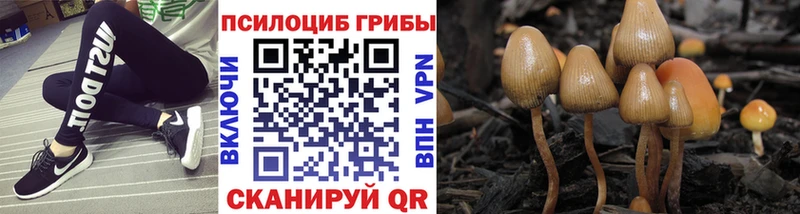 Купить где  Каргополь  Галлюциногенные грибы Magic Shrooms 